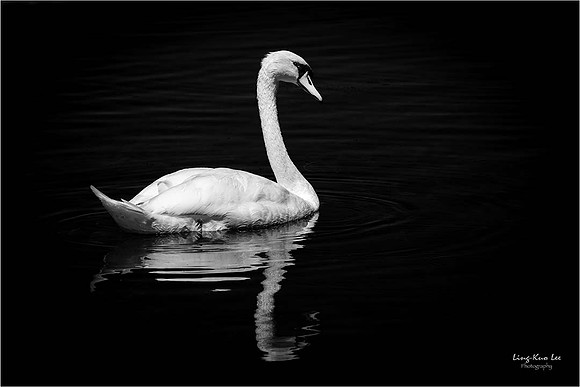 _DSC5729