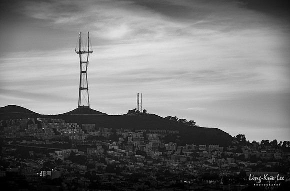 _DSC8948