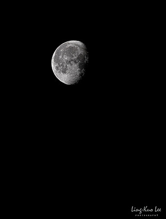 _DSC5914