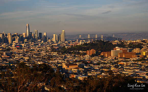 _DSC9114